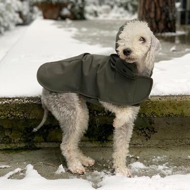  St. Pia Pluvio Köpek Yağmurluğu