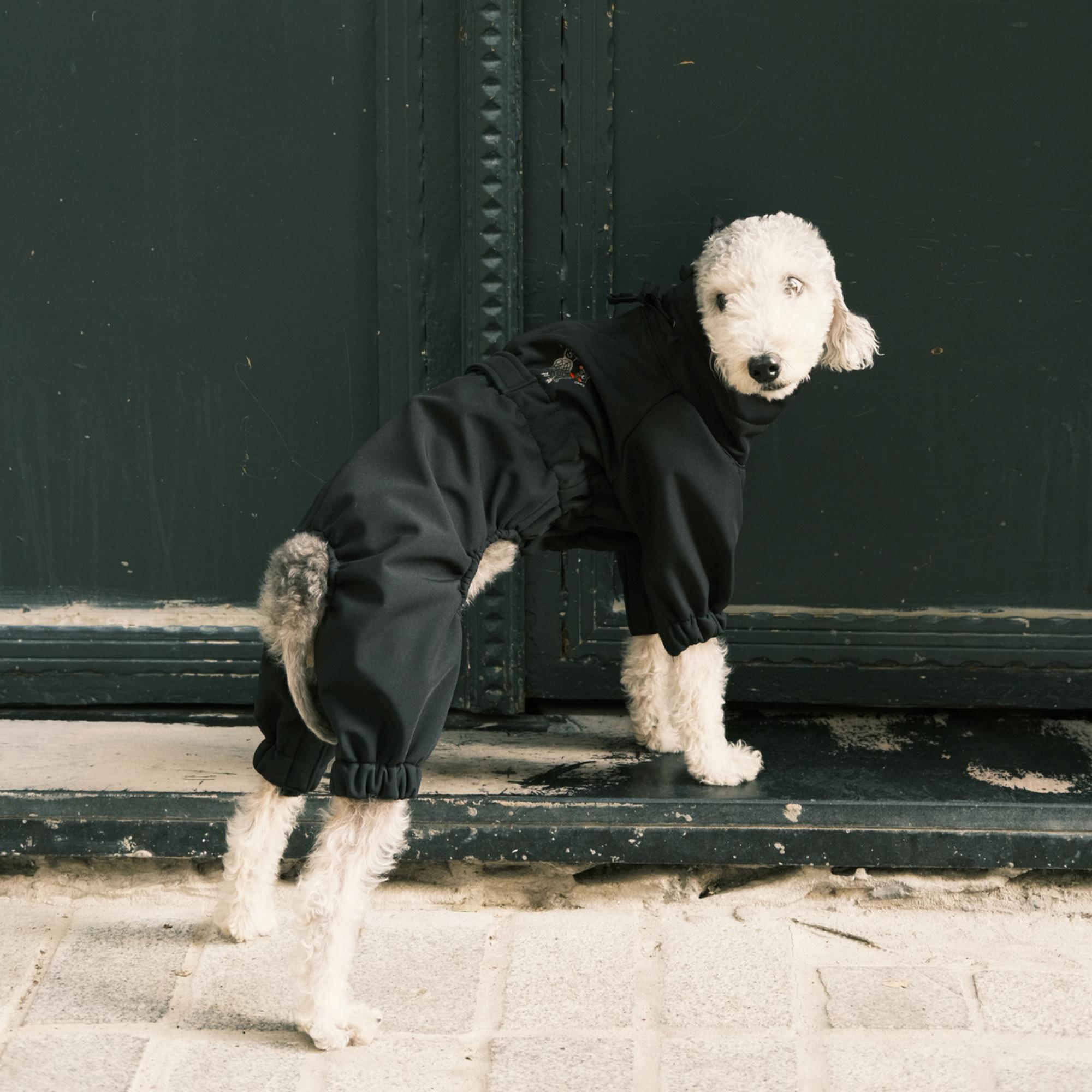 St. Pia Astro Tulum Köpek Mont