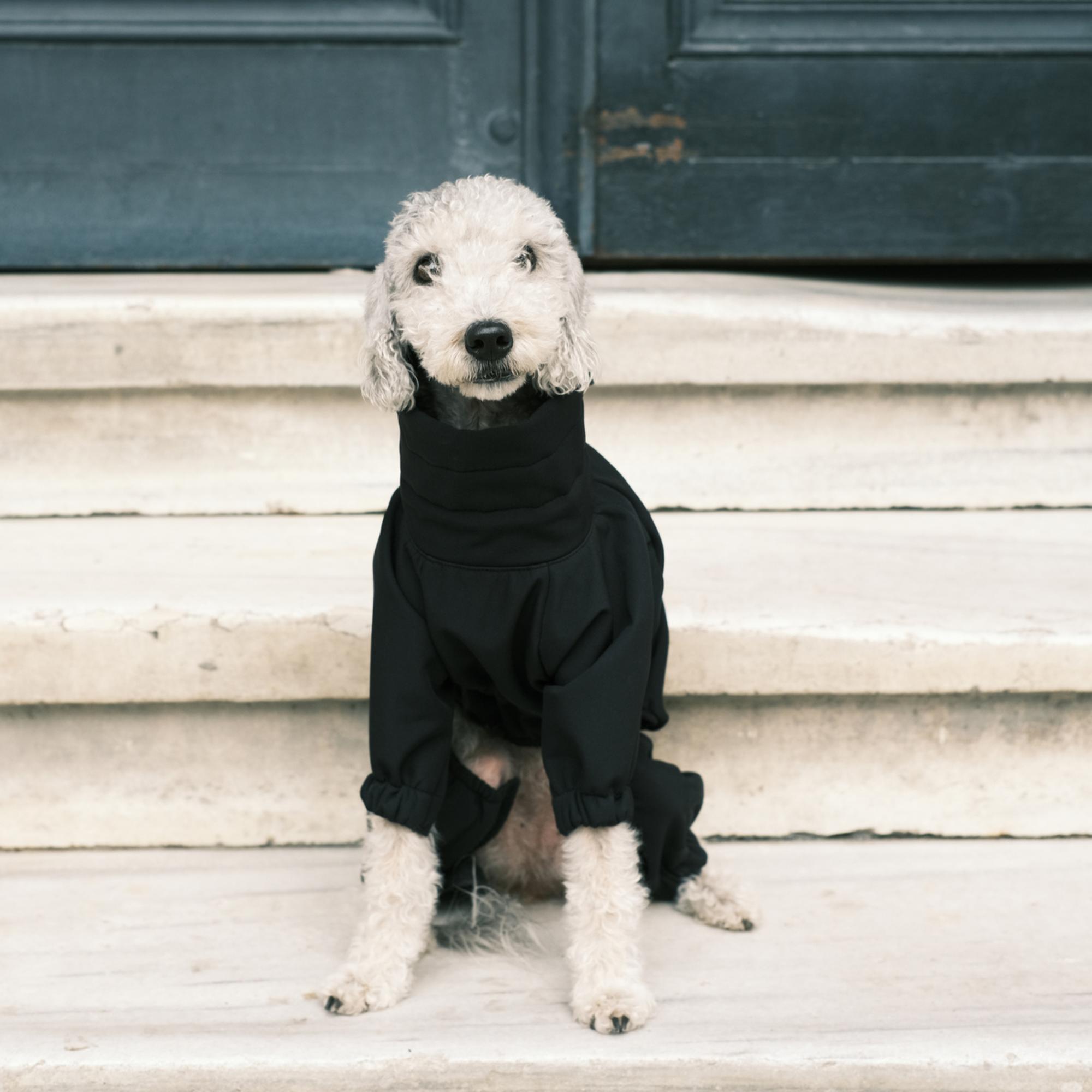 St. Pia Astro Tulum Köpek Mont