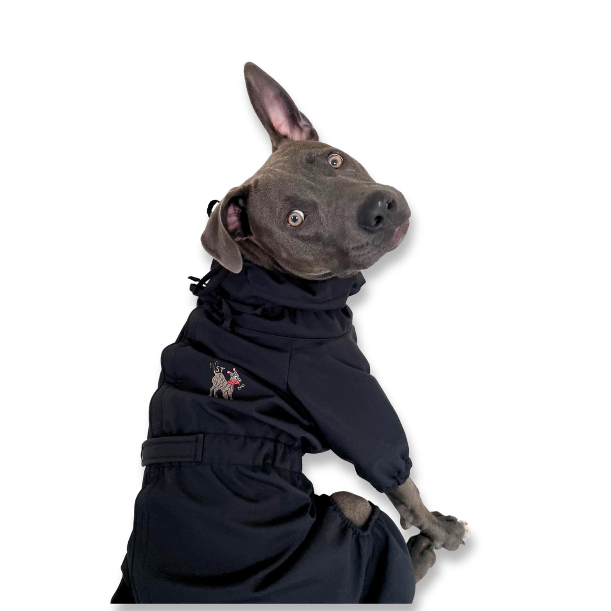 St. Pia Astro Tulum Köpek Mont