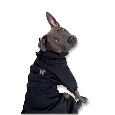  St. Pia Astro Tulum Köpek Mont