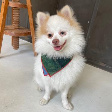  St. Pia Party Bandana - Pet ve İnsan Aksesuarı