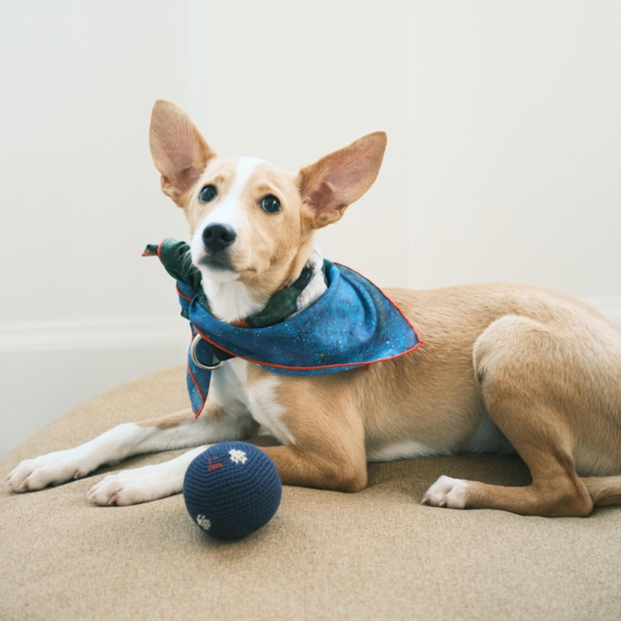 St. Pia Party Bandana - Pet ve İnsan Aksesuarı