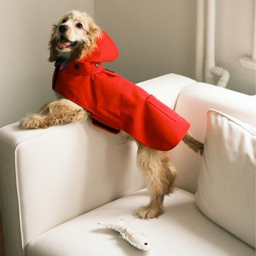  St. Pia Pluvio Köpek Yağmurluğu