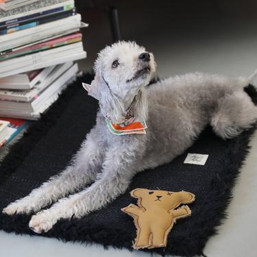  St. Pia Robear El Yapımı Kedi ve Köpek Oyuncağı