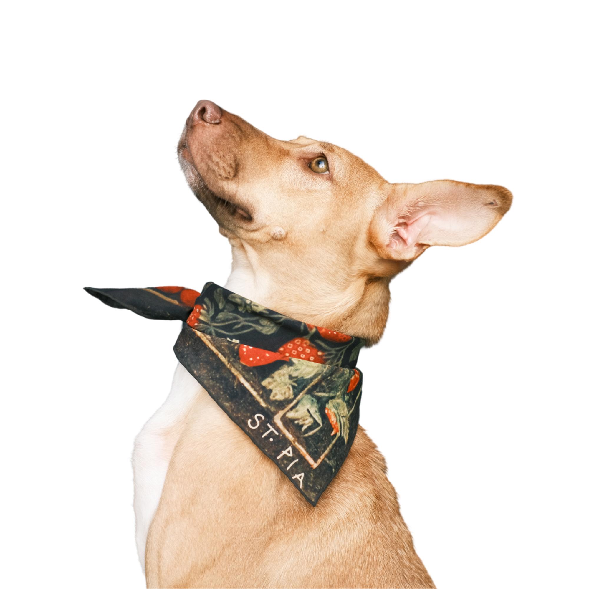 St. Pia Berry BFF Bandana - Pet ve İnsan Aksesuarı
