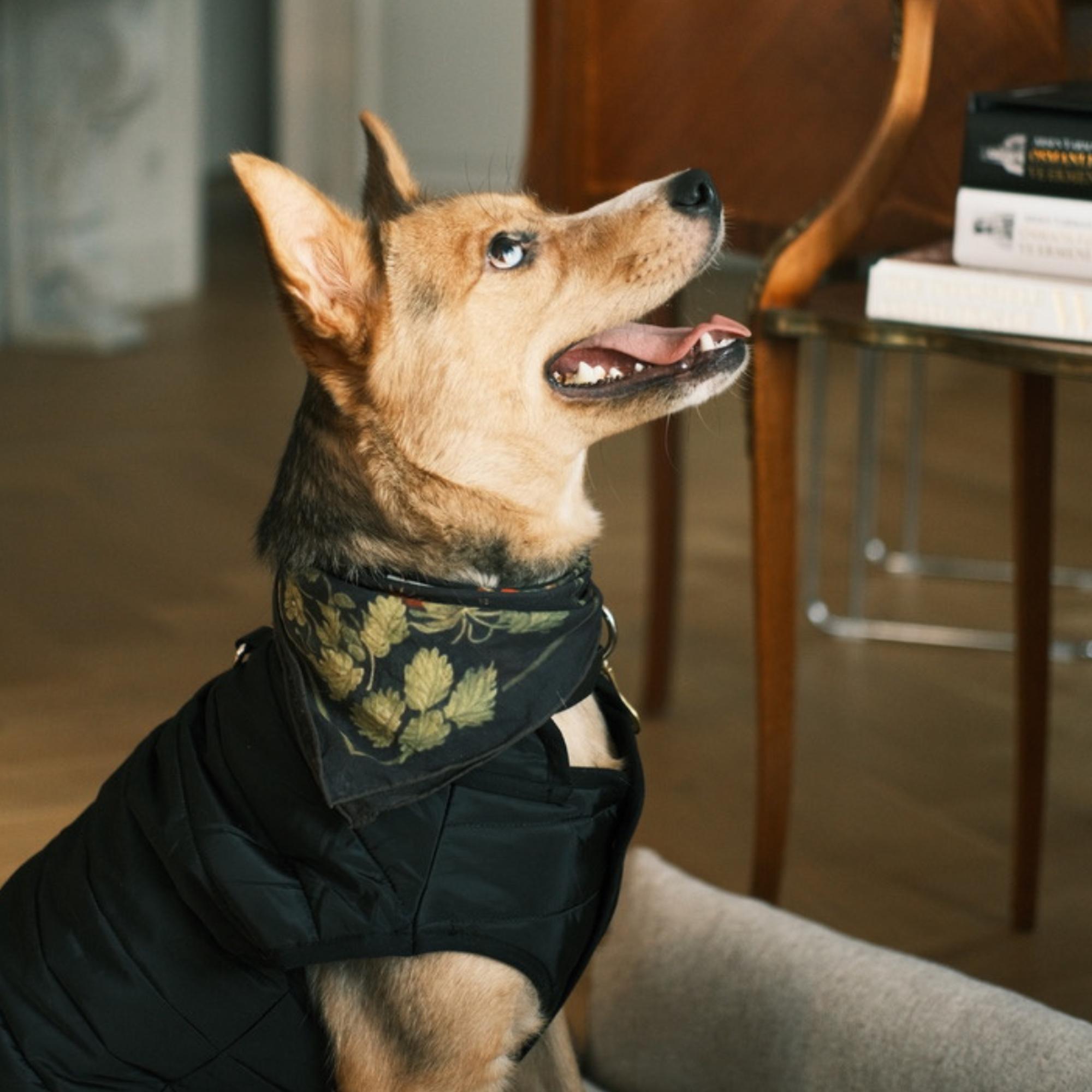 St. Pia Berry BFF Bandana - Pet ve İnsan Aksesuarı