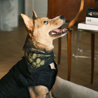  St. Pia Berry BFF Bandana - Pet ve İnsan Aksesuarı