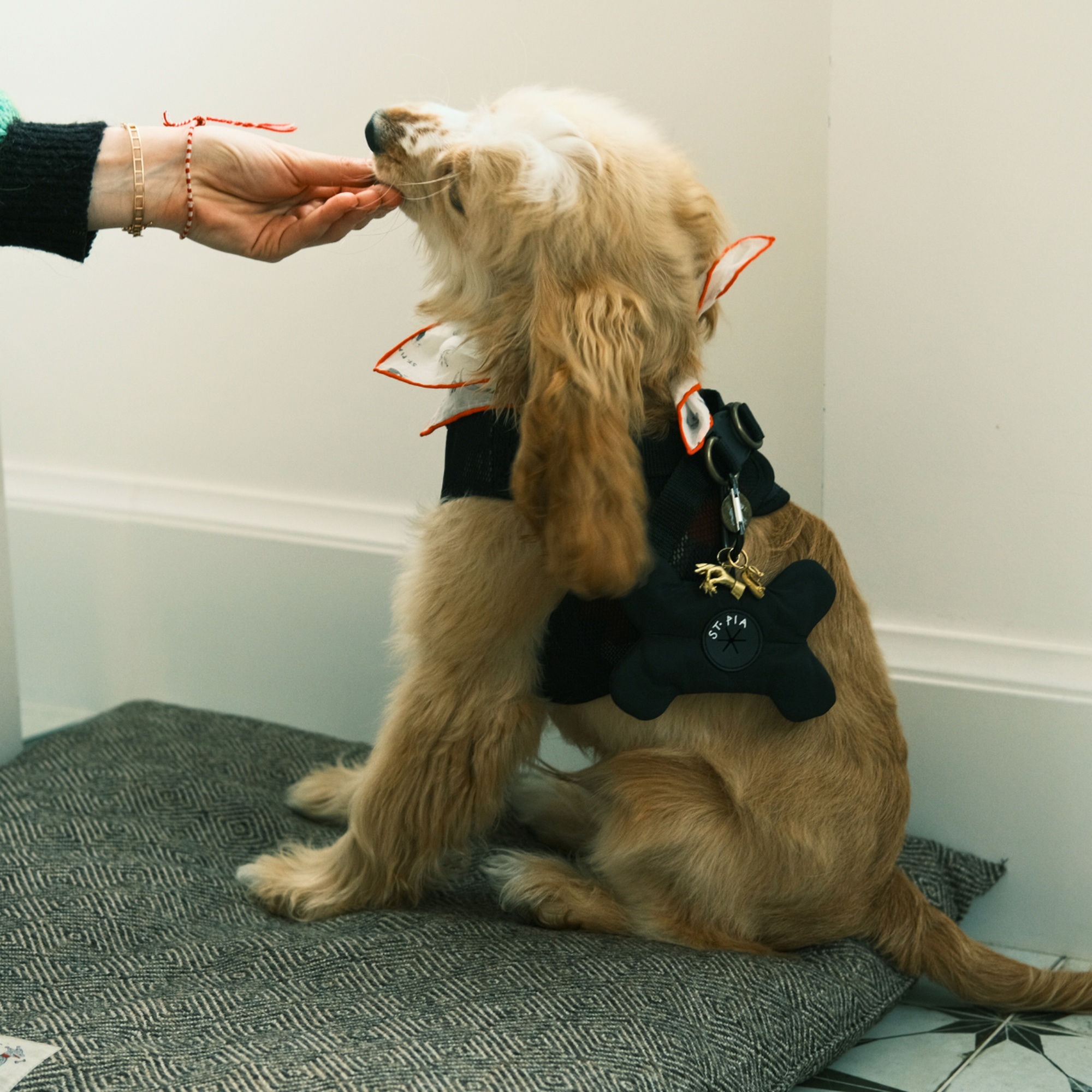 St. Pia Osso Torba Taşıyıcı