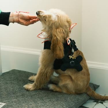  St. Pia Osso Torba Taşıyıcı