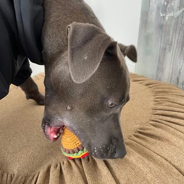  St. Pia Burger El Yapımı Kedi ve Köpek Oyuncağı