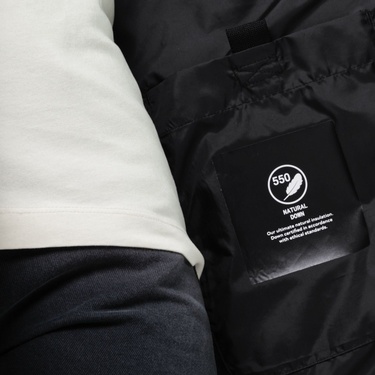  Jack Wolfskin Dellbrueck Unisex Mor Outdoor Ceketi