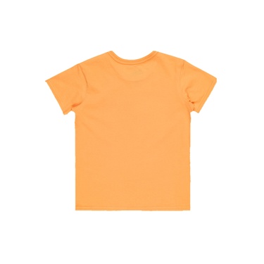  Quiksilver Day Tripper Boy Erkek Çocuk Turuncu Tişört