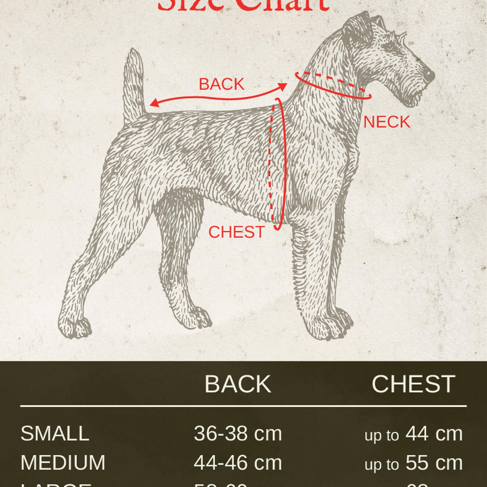 St. Pia Astro Tulum Köpek Mont