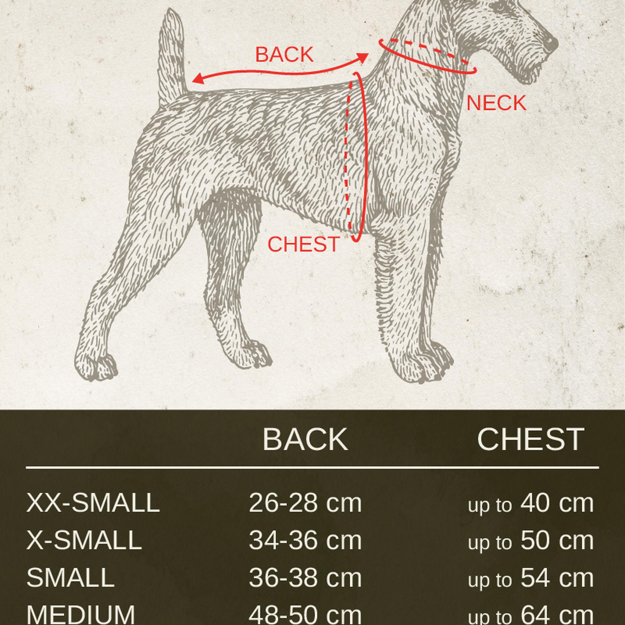St. Pia Pluvio Köpek Yağmurluğu