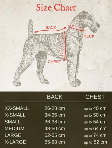  St. Pia Pluvio Köpek Yağmurluğu