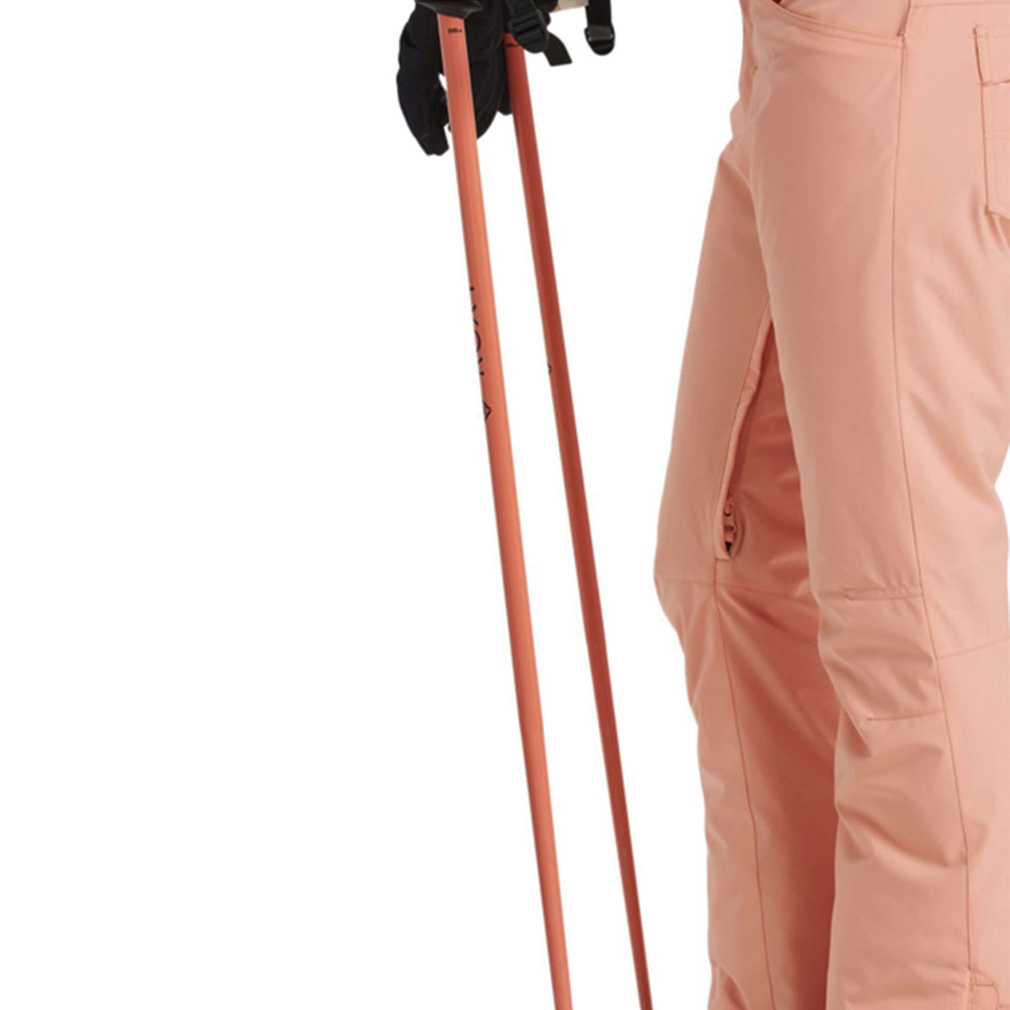 Roxy Backyard  Kadın Kar Pantolonu