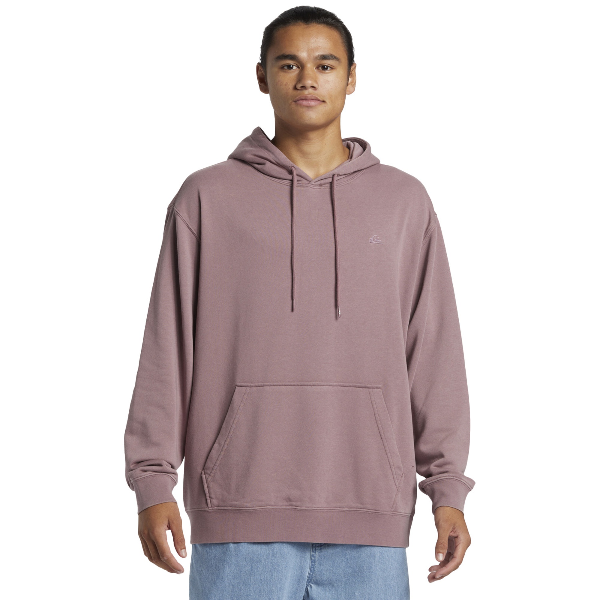 Quiksilver Salt Water Hoodie Erkek Mor Sweatshirt