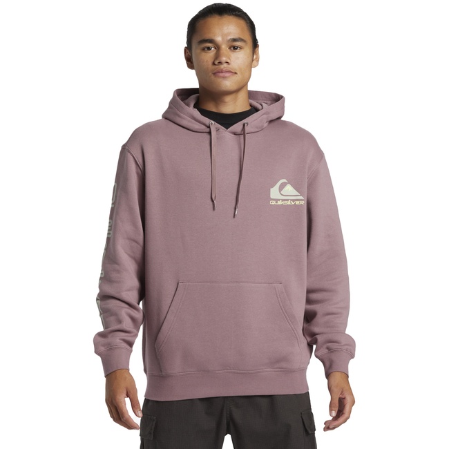  Quiksilver Omni Logo Hoodie Erkek Mor Sweatshirt