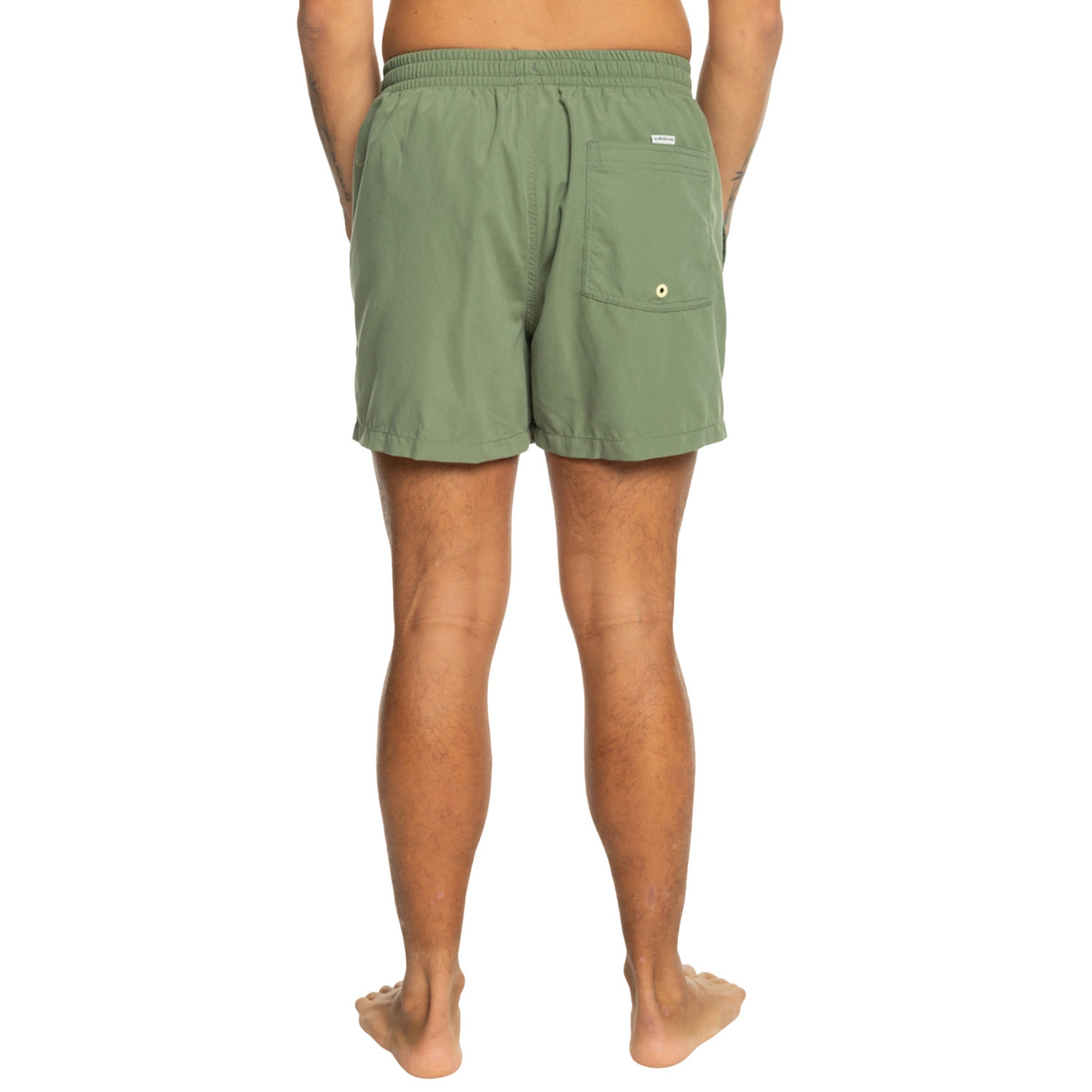Quiksilver Behind Waves Erkek Volley Short