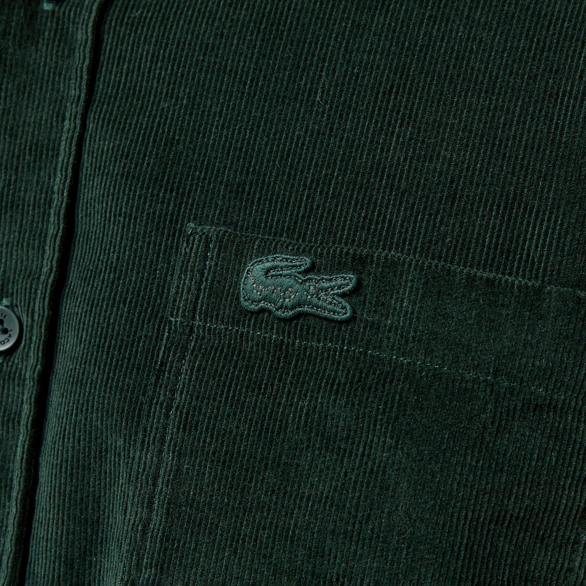 Erkek Regular Fit Düğmeli Yaka Koyu Yeşil Gömlek