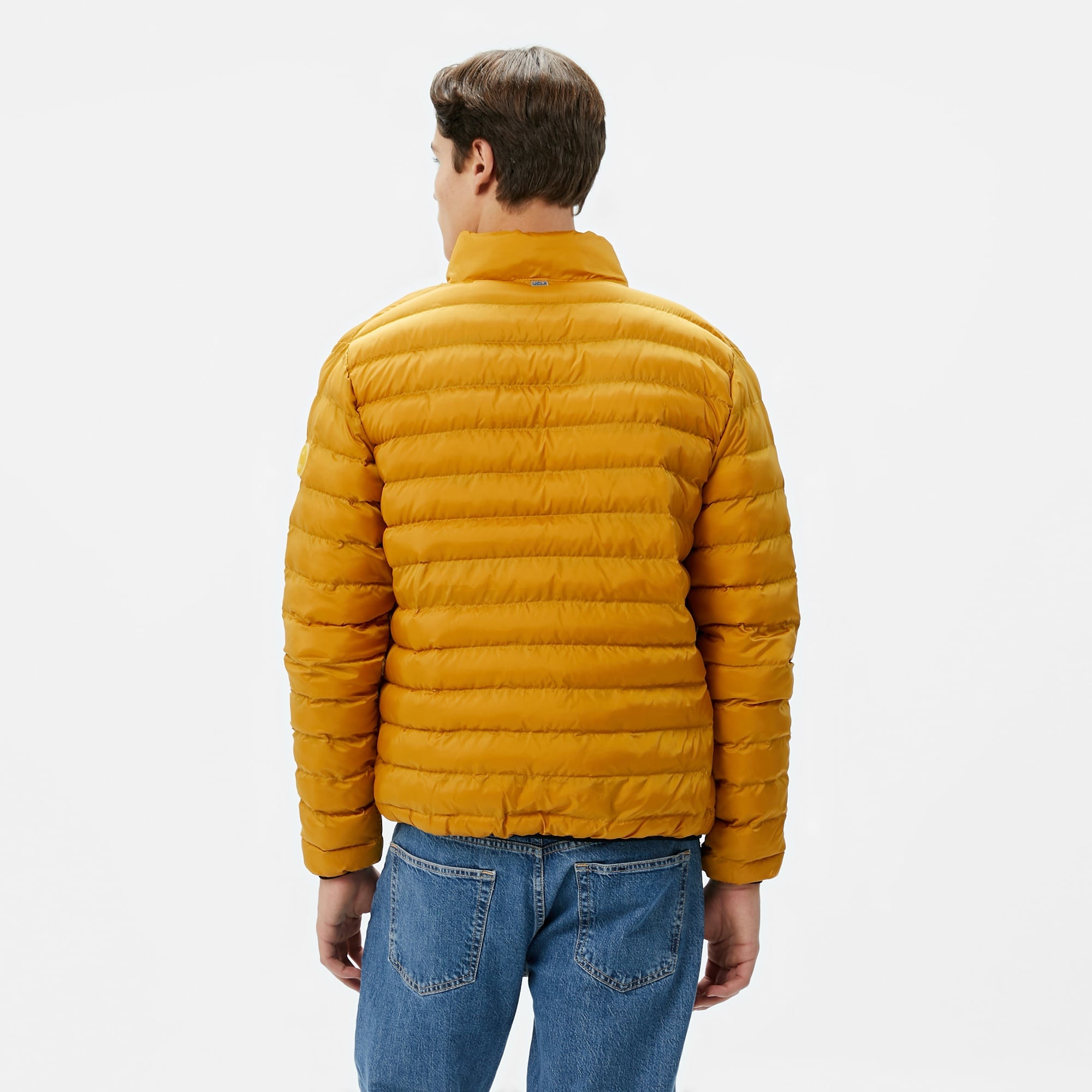 Ucla Northwin Erkek Sarı Mont