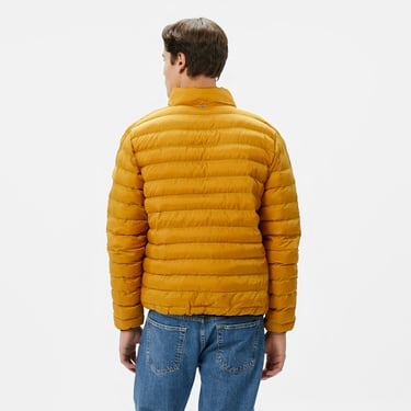  Ucla Northwin Erkek Sarı Mont