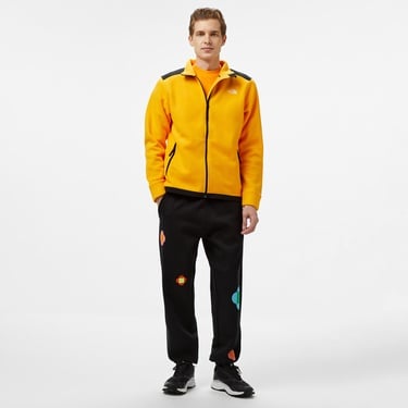  The North Face Alpine Polartec 200 Fz Erkek Sarı Ceket