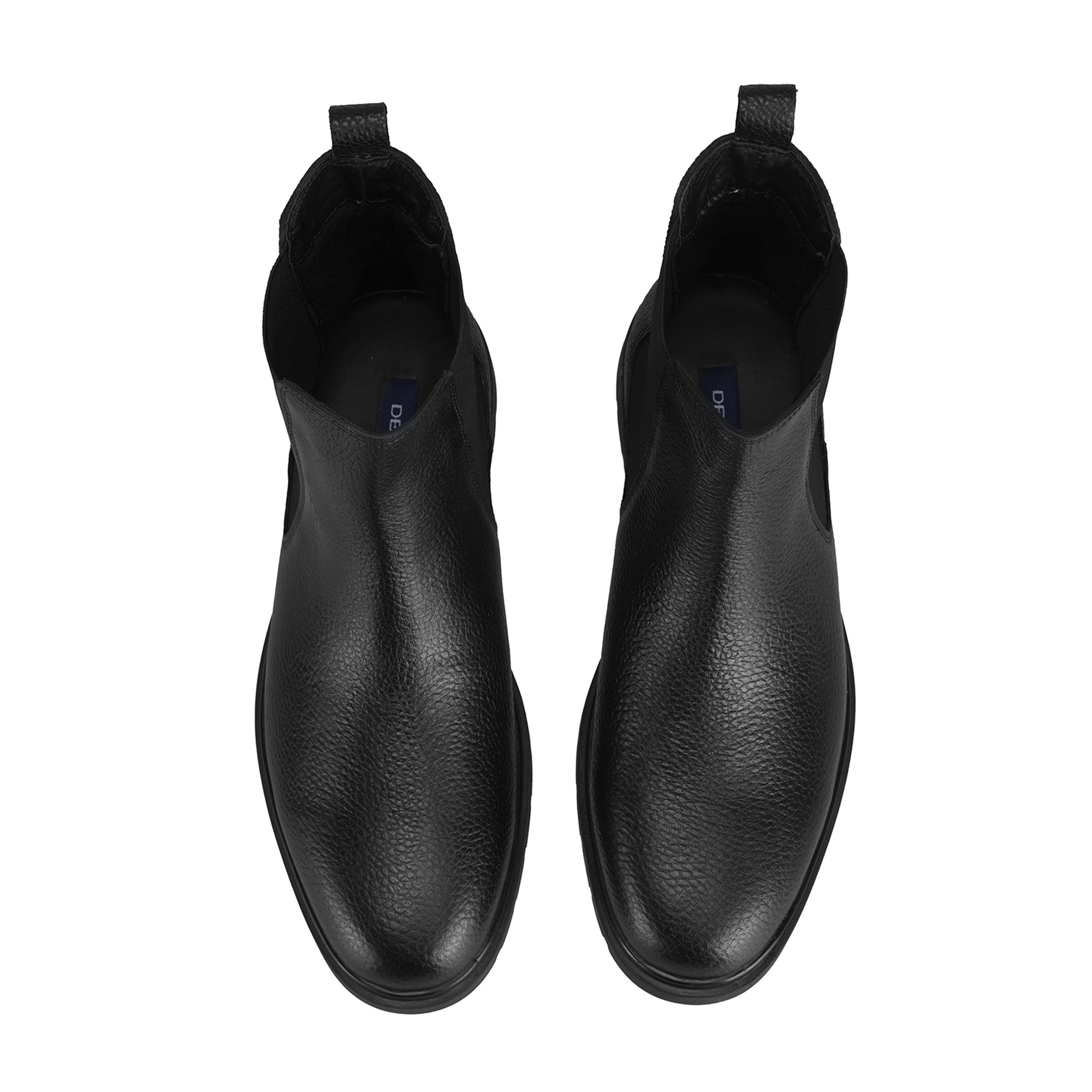 Lionne Siyah Erkek Bot