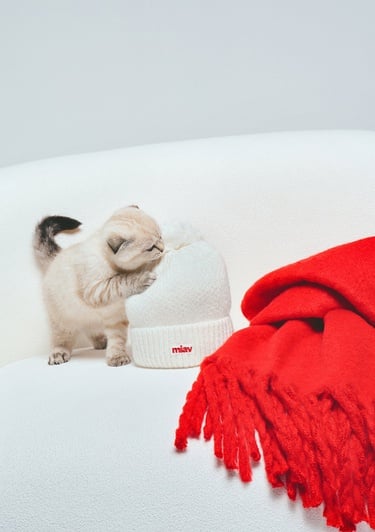  Mavi Yılbaşı Temalı Miav Bere 1913311-620