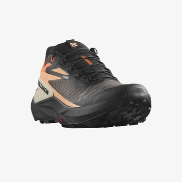  Salomon Genesis Erkek Siyah Koşu Ayakkabısı