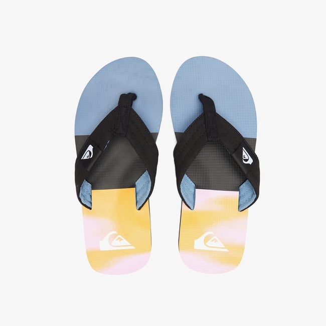  Quiksilver Molokai Layback II Erkek Renkli Terlik