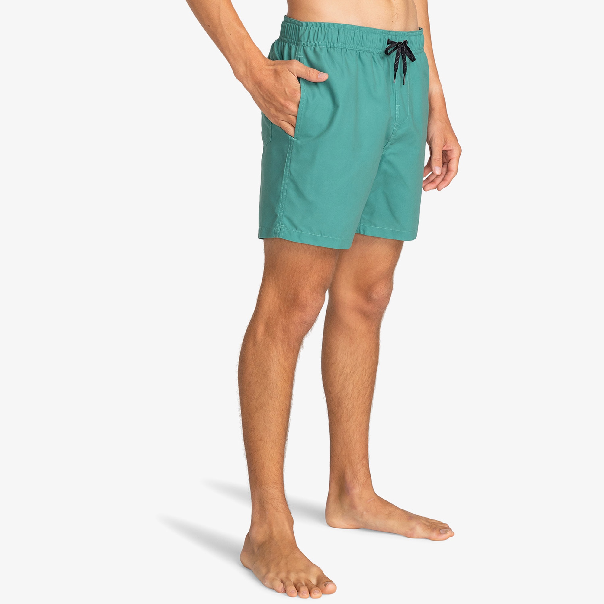 Billabong All Day Fade Erkek Renkli  Mayoşort