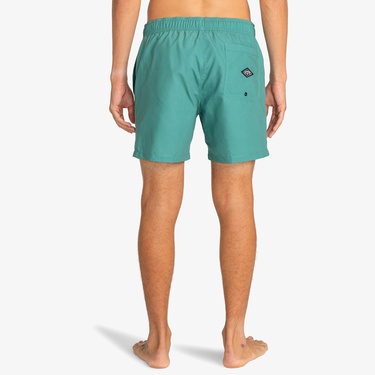  Billabong All Day Fade Erkek Renkli  Mayoşort