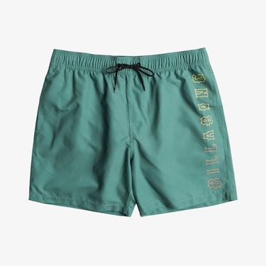  Billabong All Day Fade Erkek Renkli  Mayoşort