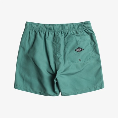  Billabong All Day Fade Erkek Renkli  Mayoşort