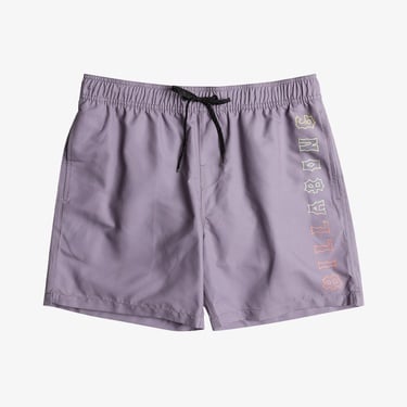  Billabong Heritage Erkek Mor Mayoşort