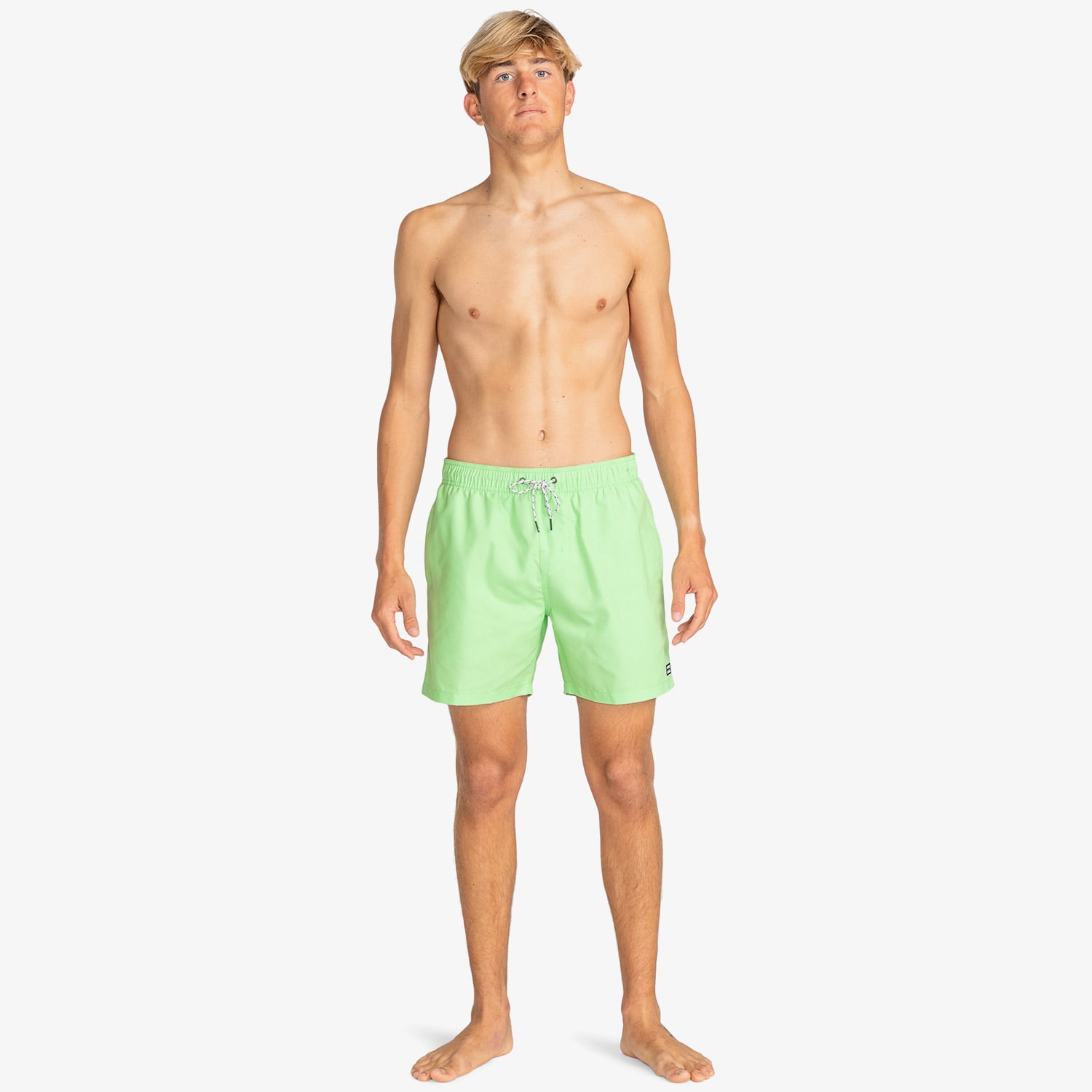  Billabong Vacay Layback Erkek Yeşil Mayo Şort