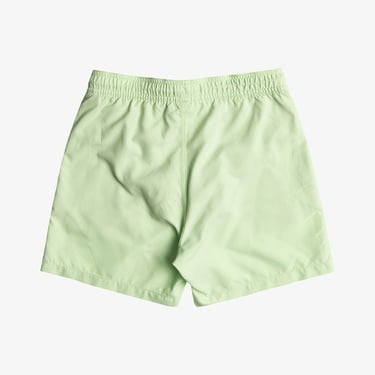  Billabong Vacay Layback Erkek Yeşil Mayo Şort