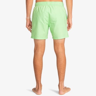  Billabong Vacay Layback Erkek Yeşil Mayo Şort