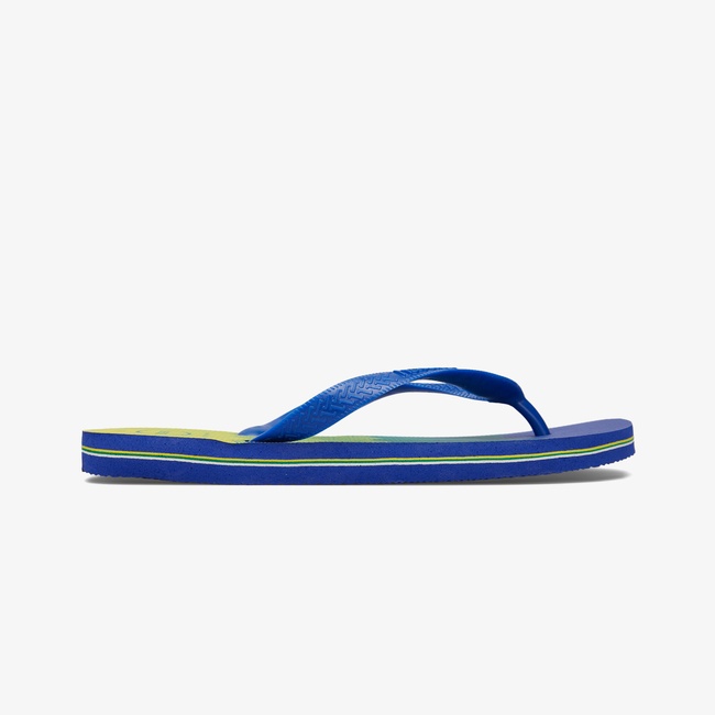  Havaianas Fresh Erkek Renkli Terlik