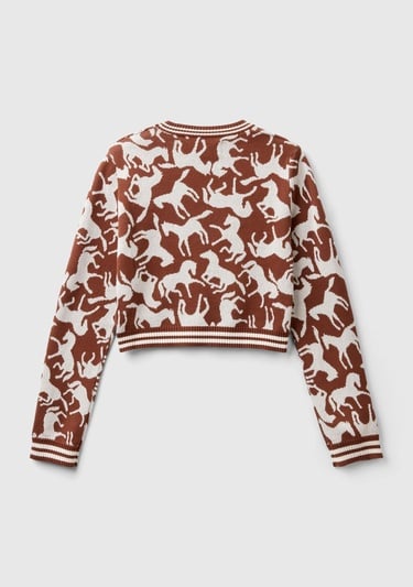  Kadın Kahverengi %100 Koton At Desenli Crop Kazak