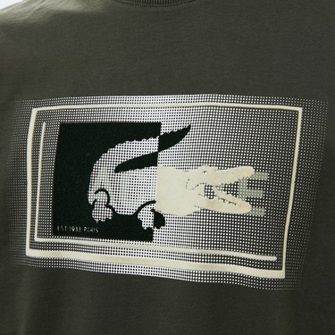  Lacoste Erkek Regular Fit Bisiklet Yaka Baskılı Haki T-Shirt