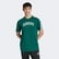 adidas Codes Collegiate Linear Graphic Erkek Yeşil T-Shirt