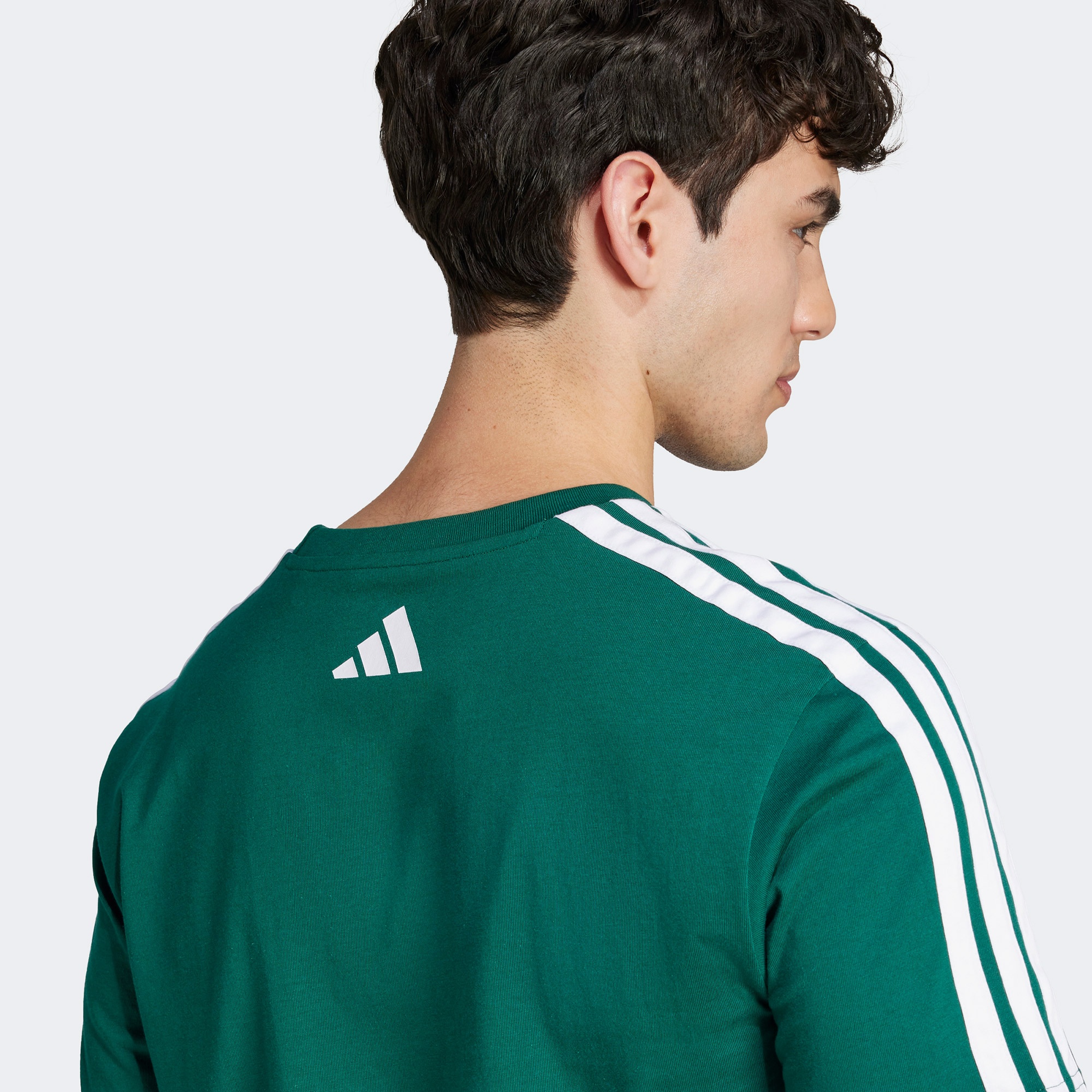 adidas Codes Collegiate Linear Graphic Erkek Yeşil T-Shirt