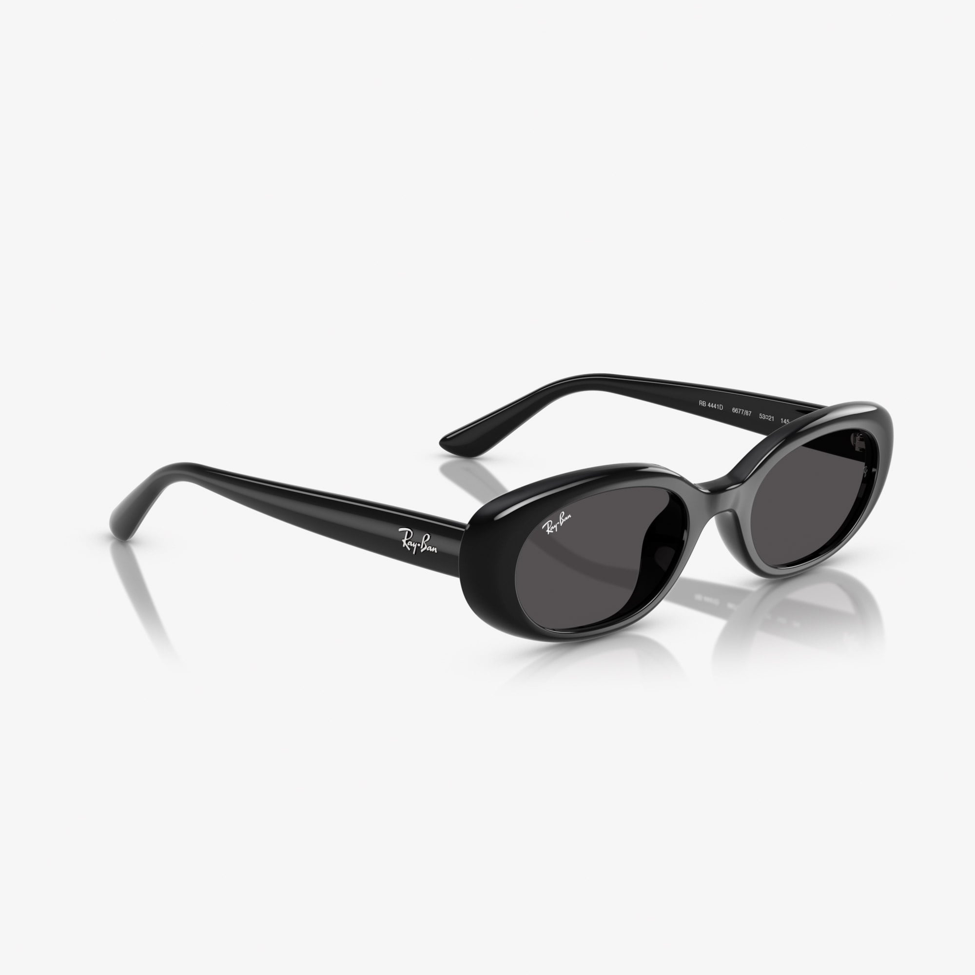 Ray-Ban RB4441D Unisex Siyah Güneş Gözlüğü