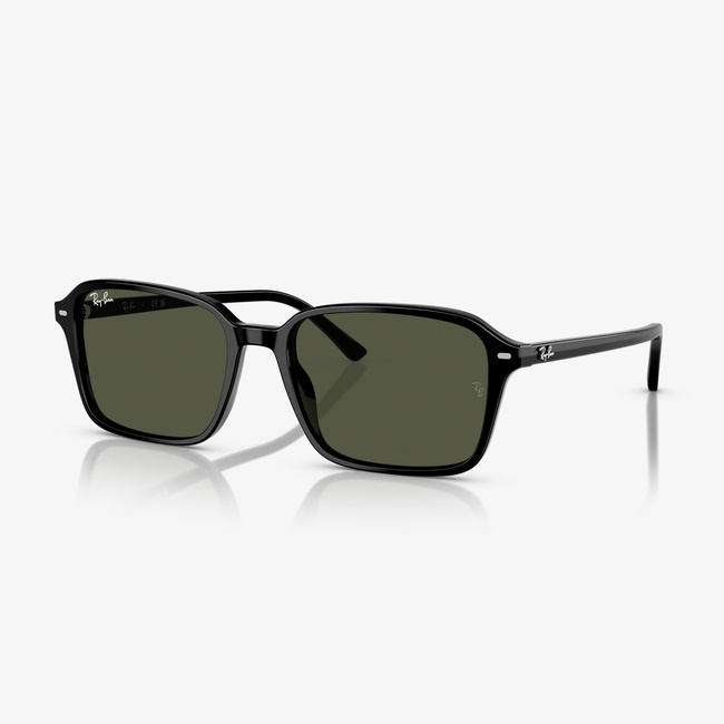  Ray-Ban Raimond RB2231 Unisex Siyah Güneş Gözlüğü