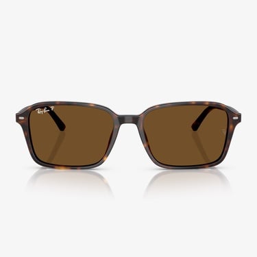  Ray-Ban Raimond RB2231 Unisex Bej Güneş Gözlüğü