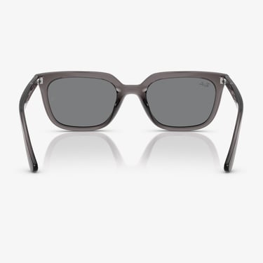  Ray-Ban RB4439D Unisex Gri Güneş Gözlüğü