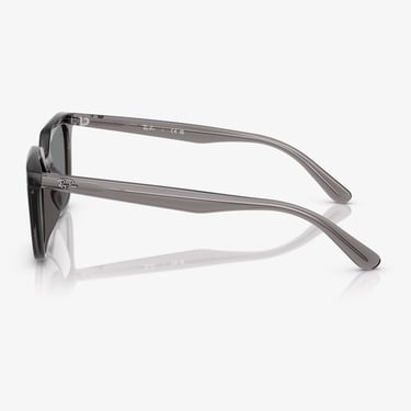  Ray-Ban RB4439D Unisex Gri Güneş Gözlüğü